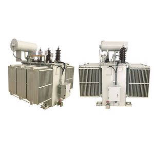 High Voltage Oil Immersed Distribution Transformers, Manufacturer of Distributio