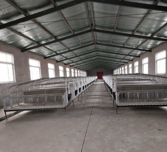 Modern Design Chicken Layer Broiler Poultry Farm Building