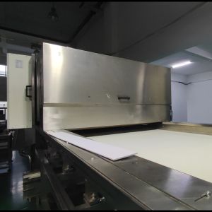 Advanced Medium Resolution Image Recognition Chlli Pepper Color Sorter with 304