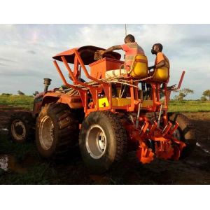 Flat Garden Seeder Row Planter , Chop L14cm Paddy Two Row Planter