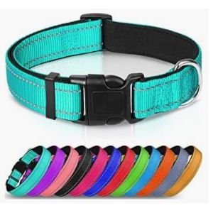 Personalized Nylon Dog Collar Multi Color Durable Pet Collar with Laser Engrave