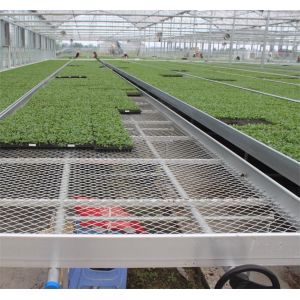 Nursery Indoor Custom Wire Mesh Rolling Bench Grow Table For Greenhouse