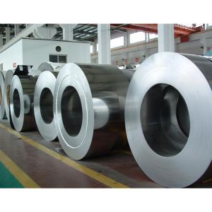 AISI Stainless Steel Coil SUS 316L 201 304 Material 2B BA N4 8K Surface
