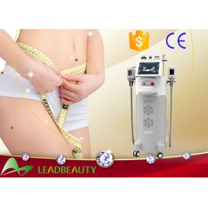 China 2016 fat freezing body machine LB-C5 / cryolipolysis slimming machine on sale on sale
