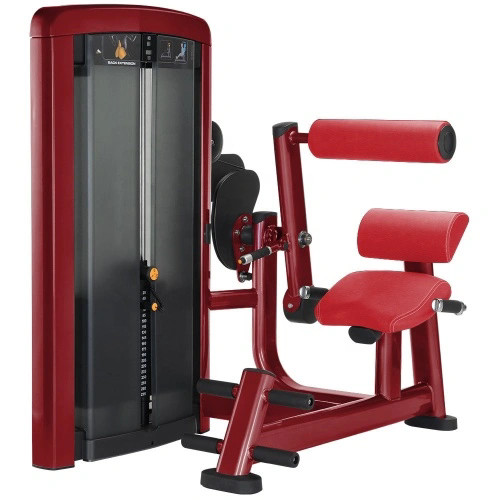 Quality Gym Exercise Fitness Pin Loaded Back Extension Machine wholesale