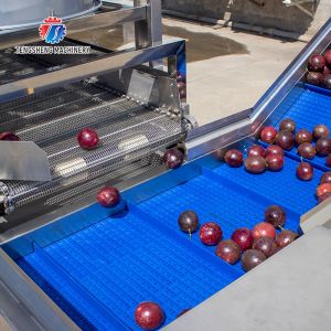 Fruit And Vegetable Wool Roller Bubble Cleaning Machine 1500KG/H