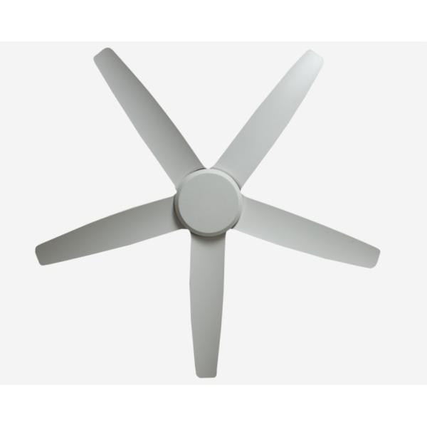 56 Inch ECO Fans Modern Ceiling Fan Energy Saving DC Motor remote control