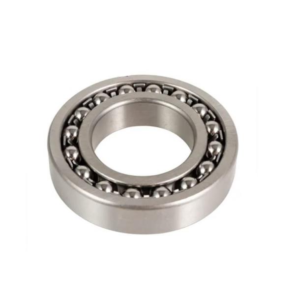 14000N Static Load Self-aligning Ball Bearing 1310 with Durable Nylon or Steel