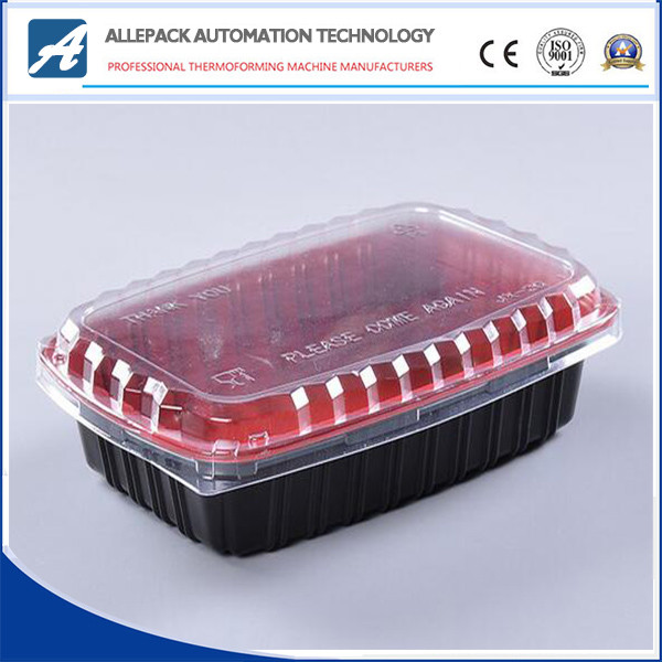 Quality OEM Disposable Clear Food Box PP  PVC Storage Package 0.2-1.8mm Thickness wholesale