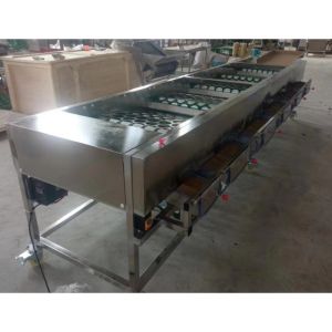 Onion Sorting Machine, Onion Grading Machine, Onion Sorter Machine