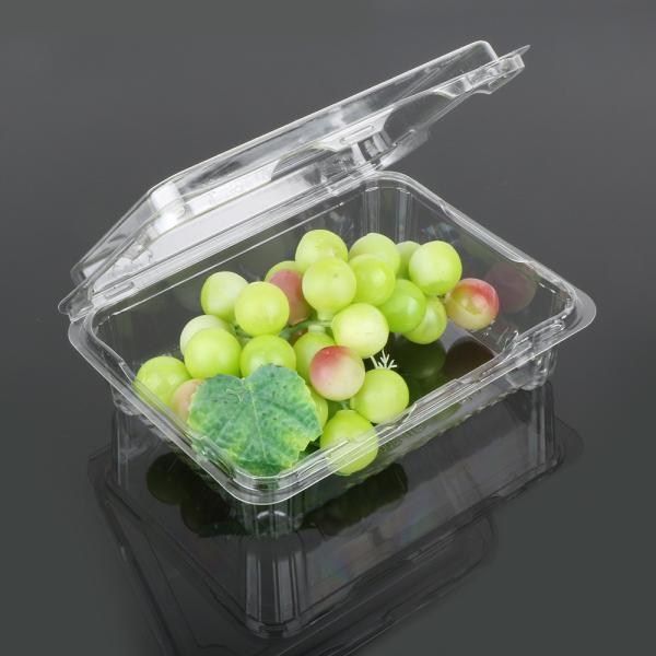 Quality Rectangle Small 18.5*14.5*6cm Disposable Plastic Food Box wholesale