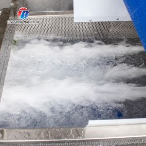 Pineapple bubble washing and vibrating air-drying line Fruit Vegetable FOOD