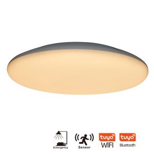 Ip65 Dimmable Mini Ceiling Mount Motion Sensor Light Fixture Led Round