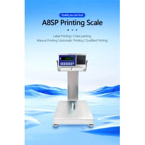 A8SP Printing Small Platform Scale with 6KG Capacity and 22cm*28cm Square