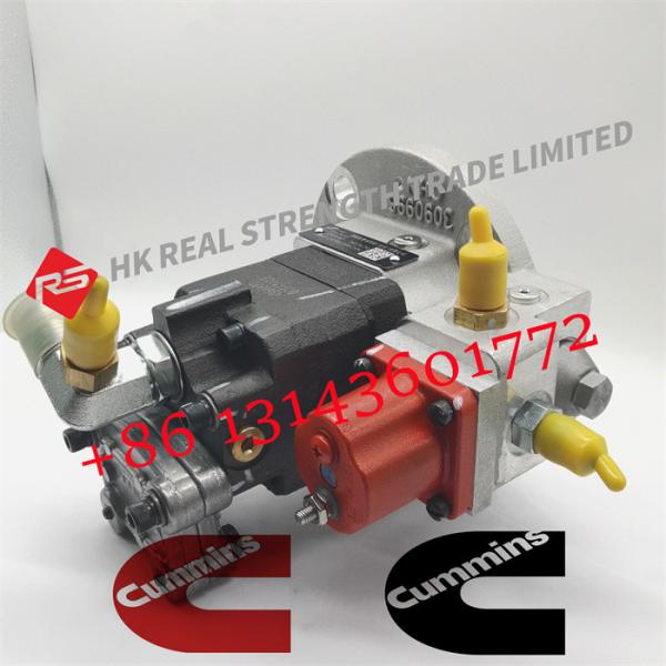 Diesel Engine Parts Fuel Injection Pump 3090942 3075340 4010254 3417674 3417677 For Cummins ISM11 QSM11