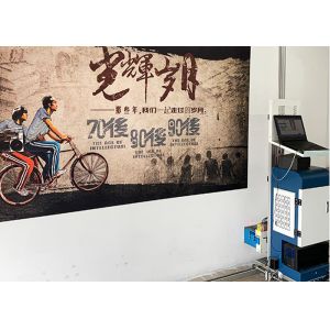 China Silent Track DX-10 EPSON SSV-WPM Automatic Wall Inkjet Printer on sale