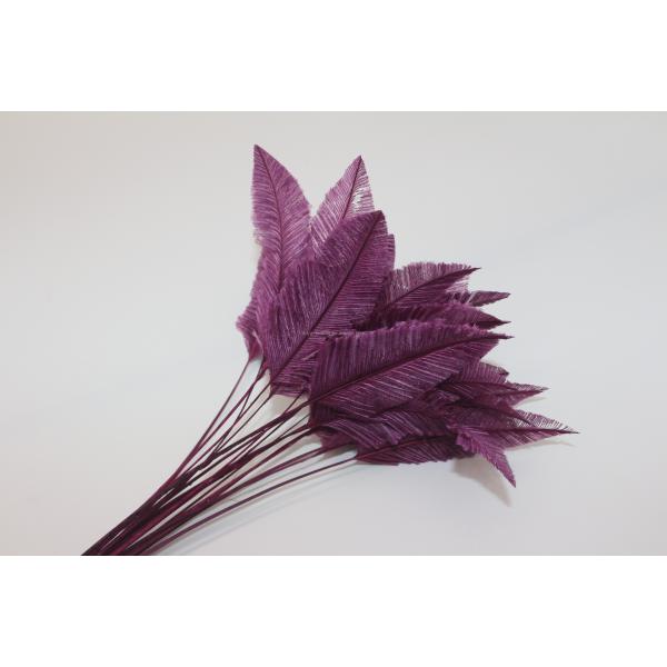 25-30cm Decor Millinery Feather , Head Arrow Stripped Ostrich Plume Feathers