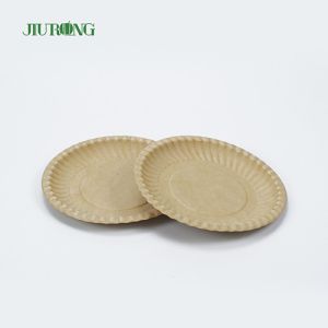 Recyclable Biodegradable Sugarcane Food Container Eco Friendly Round Plate 258mm