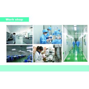 Nasal Swab Covid-19 Antigen Test Kit OEM 91.08% Clinical Sensitivity