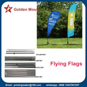 Windchaser Feather Flags Banner With Fiberglass Pole