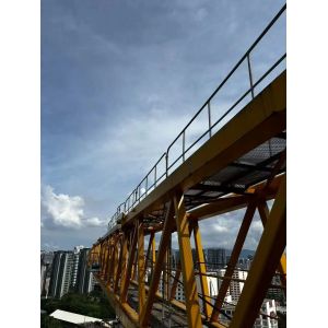 Mobile Lifting Tower 25t Lifting Cpacity Zoomlion D1200-64 Cranes for High-Rise