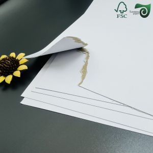 Sheets Of 1.2mm Thick White Double Sided Coated Duplex Board FSC Wrapping Paper