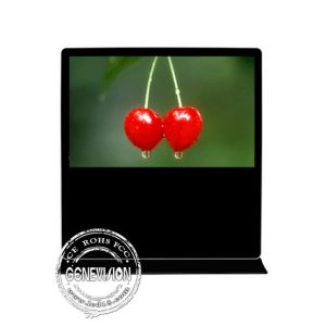 Landscape Advertising Screen Kiosk Digital Signage Android Wifi Freestanding 65