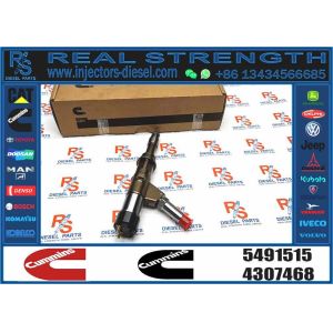 ISG12 Foton C-ummins Engine Original Fuel Injector 4307468 5491515 4307475