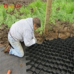 50mm-250mm HDPE Geocell Geowebs for Gravel Stabilization and Soil Erosion