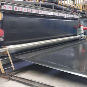 Graphic Design HDPE Smooth Geomembrane Fish Pond Liner 1.5mm 2mm for Landfill