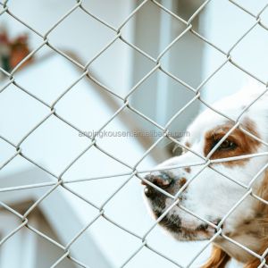 Fixed Knot Deer Fence Farm Waterproof Hot Dipped Galvanized Animal Hinge Joint