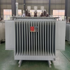 33kv/35kv Three-phase oil-immersed type fully sealed power transformer 30KW