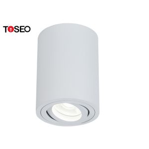 Black 220V Ceiling Surface Mounted Downlight For Showroom