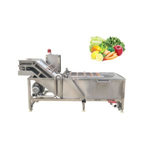 Water Recycle Fruit Plum 0.5Ton/h Vegetable Washing Machine