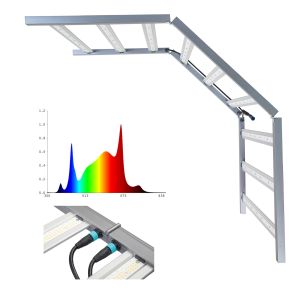 Horti DLC Spectra Grow Lights 2.9Umol/J 1000W 660nm Foldable