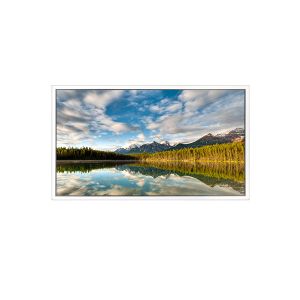 Cheap 55 inch DV550FHB-N30 1920*1080 LCD Screen FOR Transparent Display for sale