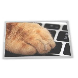 Cheap ODM Custom 20.1-Inch WLED LCD Display Module LTM201M1-L01 High Resolution 1680*1050 Specific Modules for Custom Applications for sale