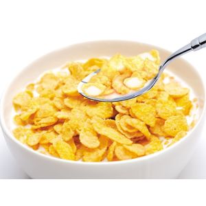 Professional Corn Flakes Processing Line Customized Capacity 1 Year Warranty