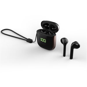 Hot Selling Cheap Bluetooth True Wireless Type-C Earbuds (with wireless charging