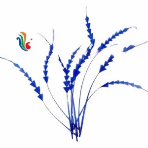 Cheap Shipping DHL UPS FEDEX EMS TNT Event Party Supplies Stripped Rooster Coque Feathers for sale