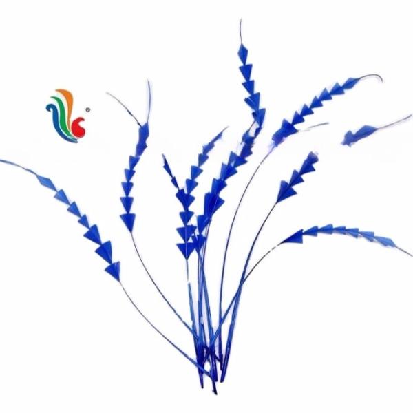 Shipping DHL UPS FEDEX EMS TNT Event Party Supplies Stripped Rooster Coque