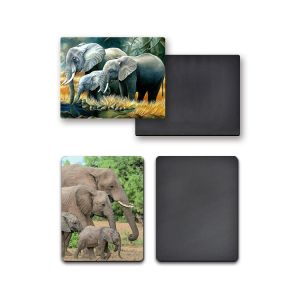 Gifts Custom Fridge Magnets CMYK Printing