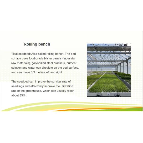 Commercial Multi Span Greenhouse Plastic Film Greenhouse For Vegetable Growing