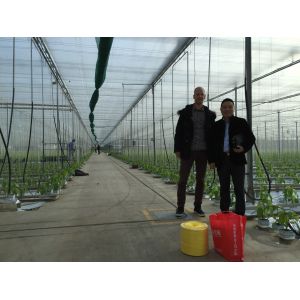 Tubeless Greenhouse Twine 5kg Roll Weight And High Reliability