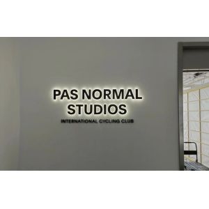 Snow Outdoor LED Channel Signage Customized 3D LED Letter for Advertising and