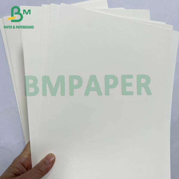 100grs 200grs Recyclable Food Grade Bagasse Pulp White Paper Roll