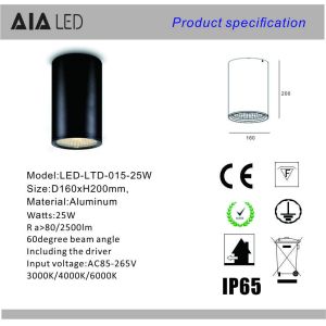 IP65 surface mounted downlight 25W COB led downlight outdoor&led surface mounted