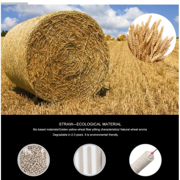 Champagne Disposable Micropigmentation Pen Manual Eco - Holder With Pigment Brush