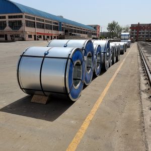Cheap 300 Series Cold Rolled Stainless Steel Coil 0.1 - 3mm With First Class for sale