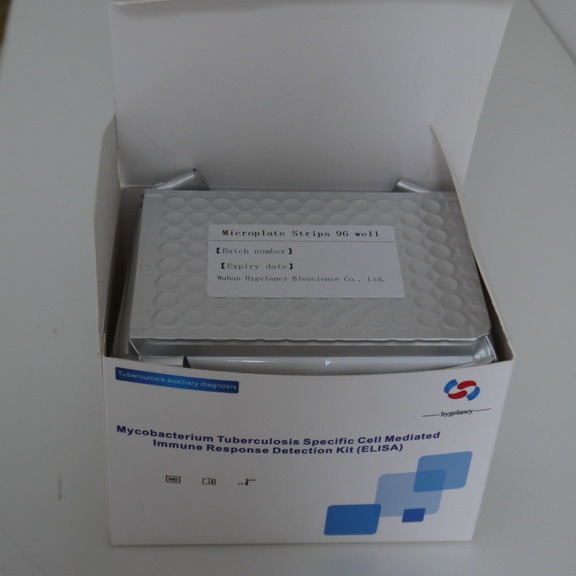 Quality TB-IGRA Elisa kit Fast and Accurate Results for Diagnosis wholesale